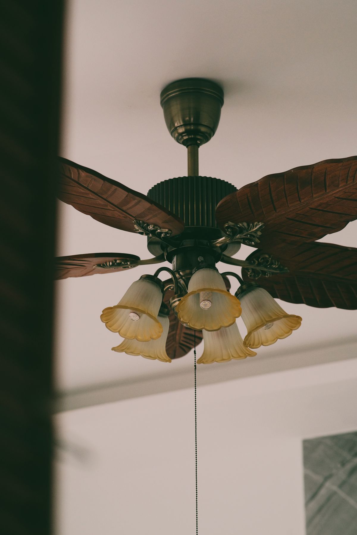Ceiling Fan Repair service in Virginia Beach, VA